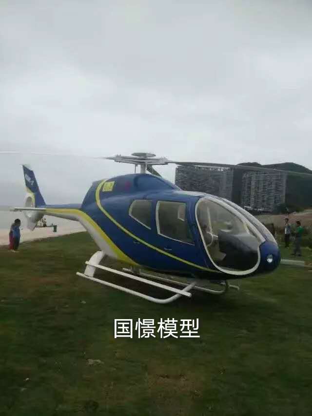 赵县飞机模型