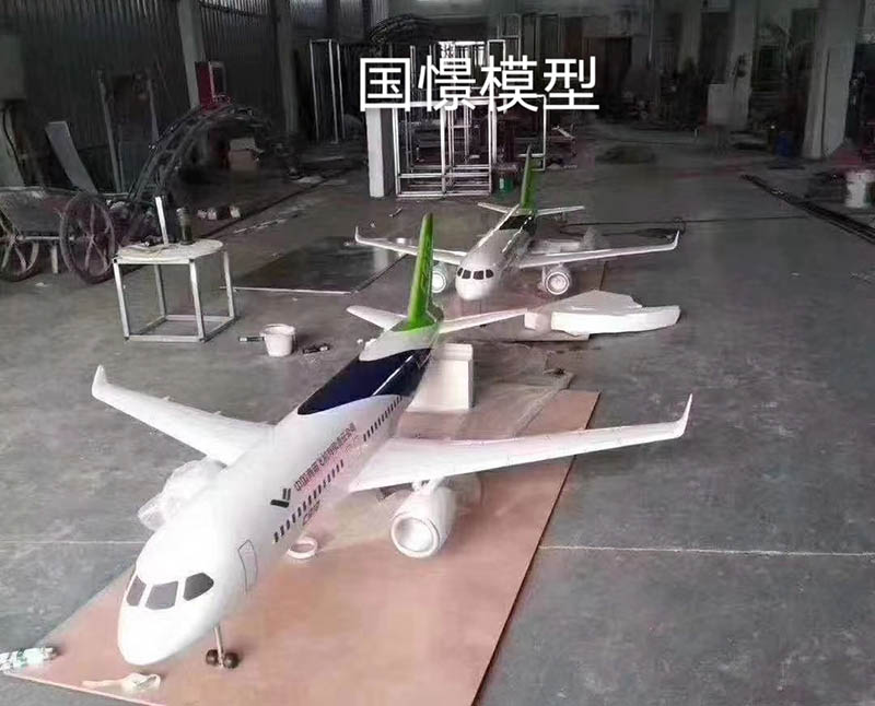 赵县飞机模型