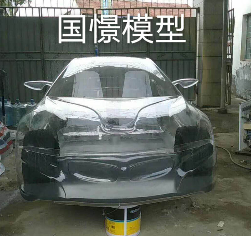 赵县透明车模型
