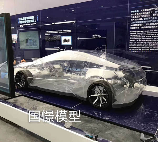 赵县透明车模型